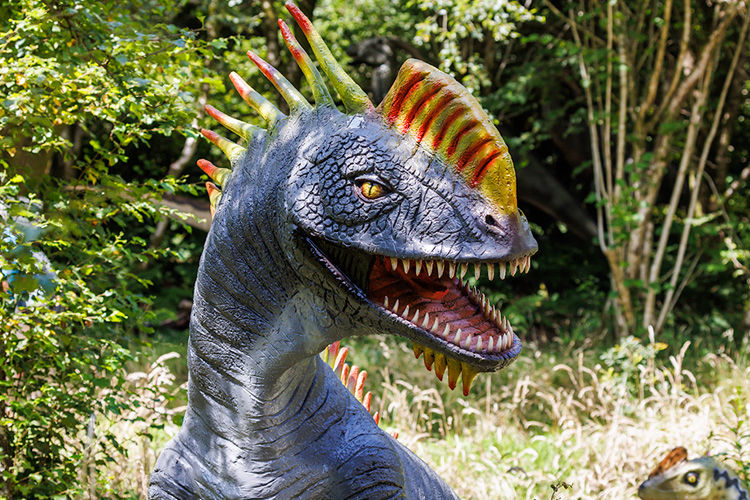 Dan yr Ogof