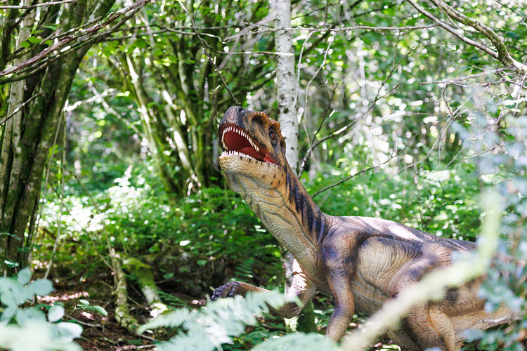 Dan yr Ogof