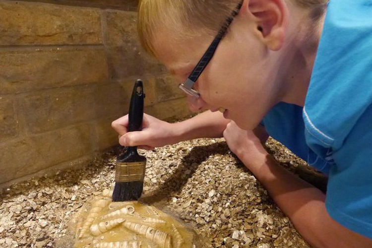 The Fossil House