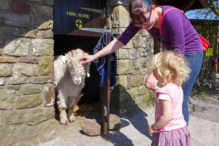 Mr Morgan's Victorian Farm